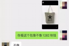 南沙专业要账公司